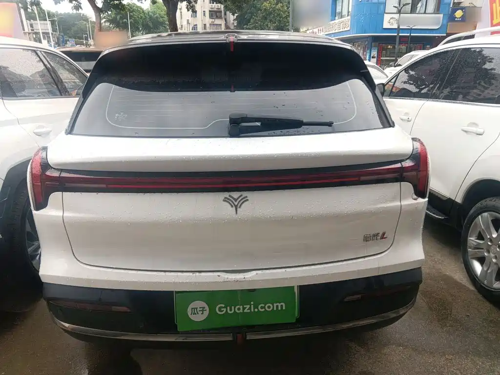 Neta L 2024 220 Premium