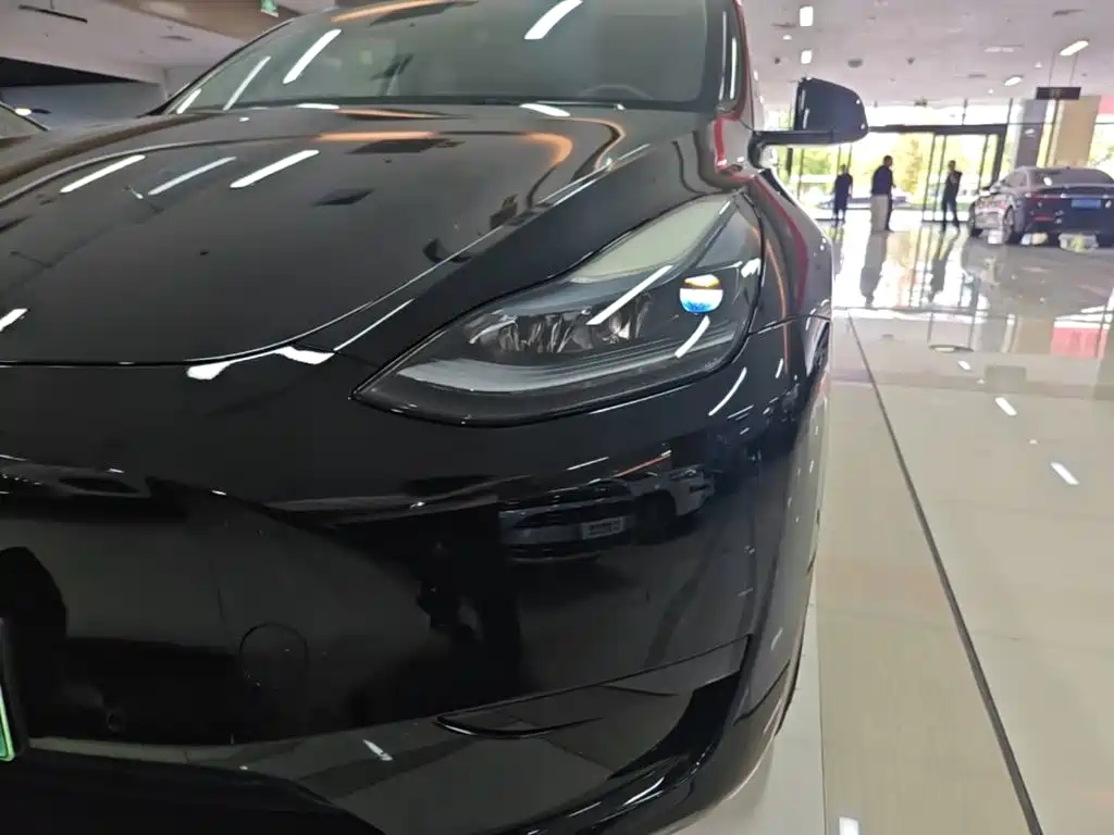 Tesla Model Y — миниатюра 24