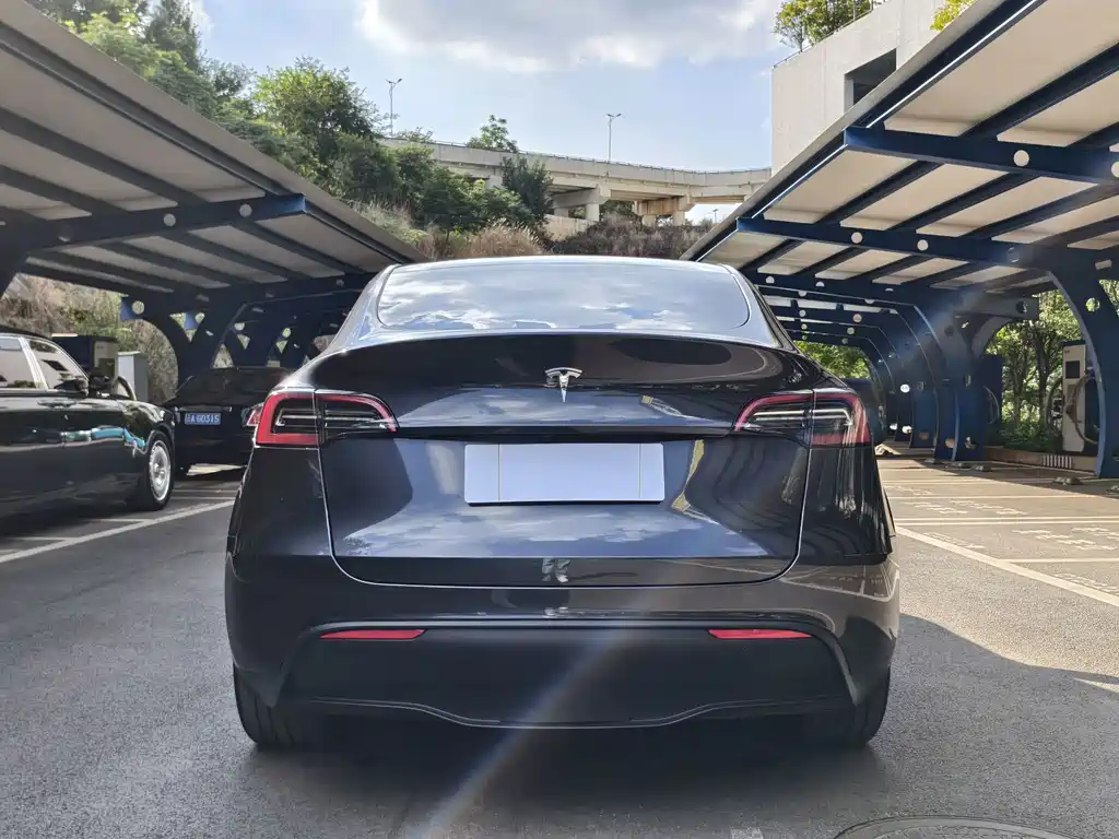 Tesla Model Y — миниатюра 13