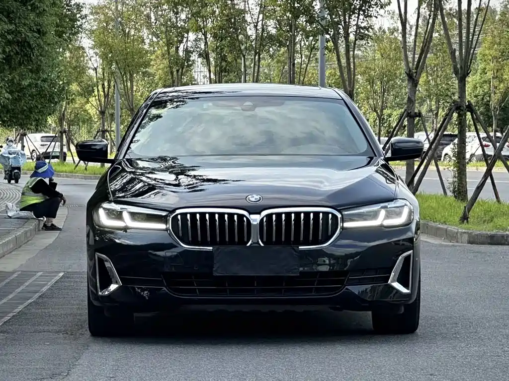 BMW 5 Series — миниатюра 5