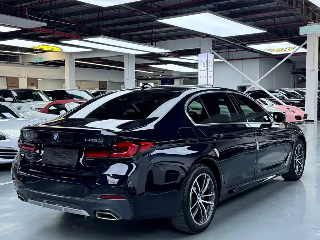 BMW 5 Series — миниатюра 13