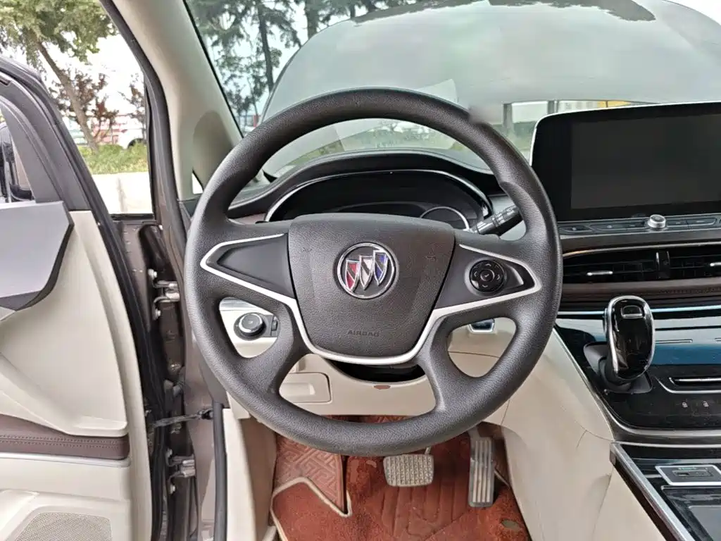 Buick GL8 — миниатюра 11