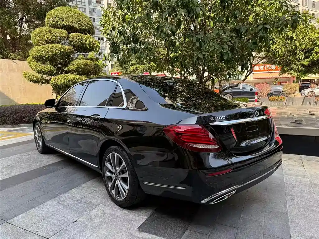 Mercedes-Benz E-Class E 2019 E 300 L Luxury