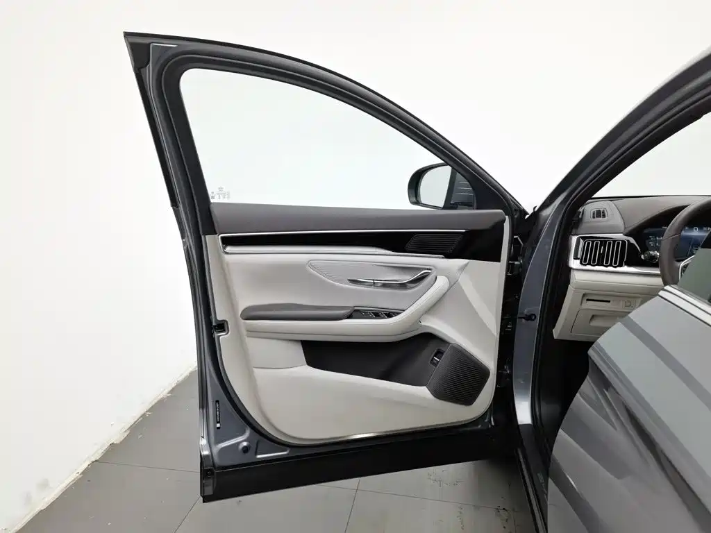 BYD PLUS New Energy — миниатюра 8
