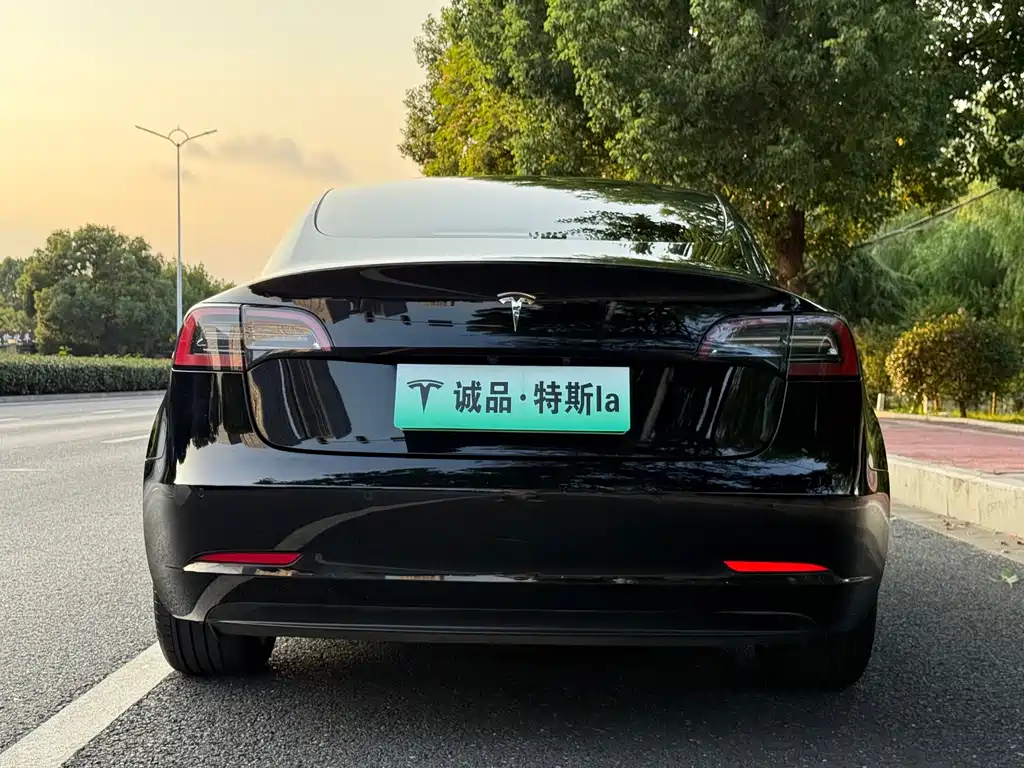 Tesla Model 3 — миниатюра 4