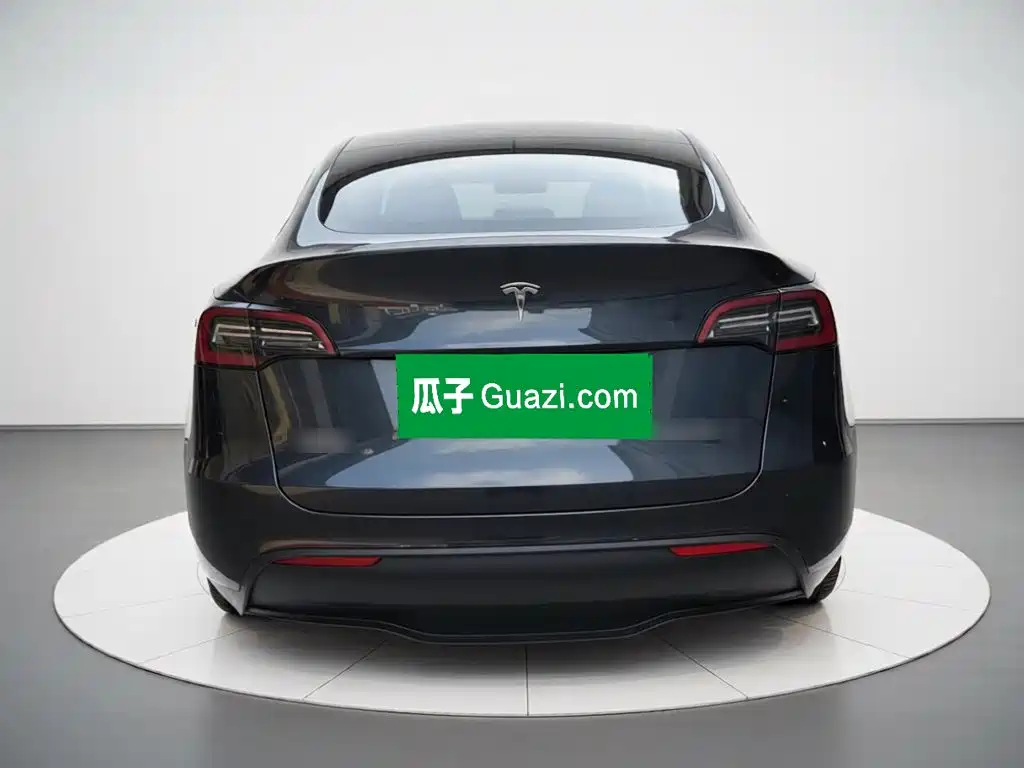 Tesla Model Y — миниатюра 3