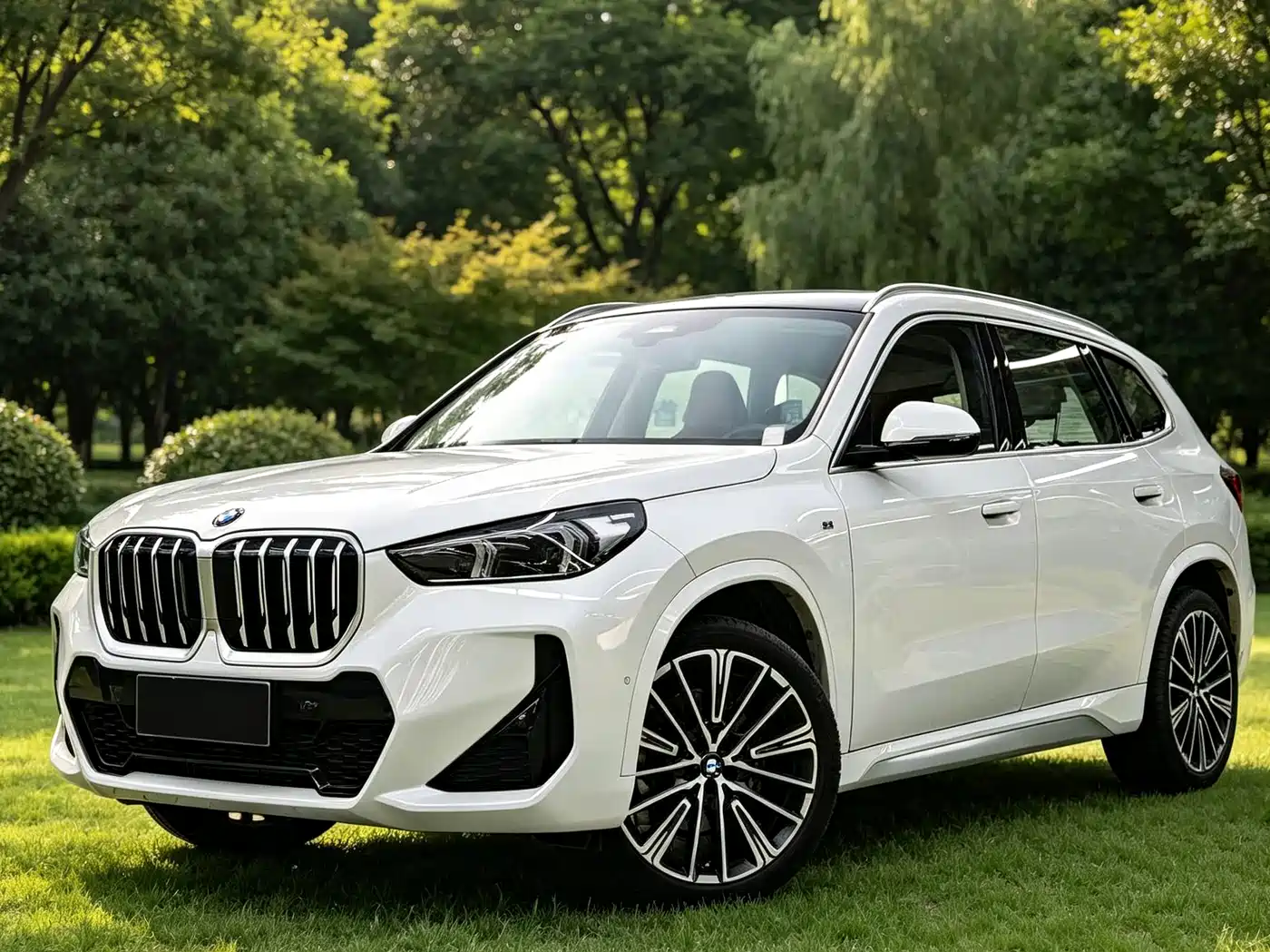 宝马X1 2024款 xDrive25Li M运动套装 2025