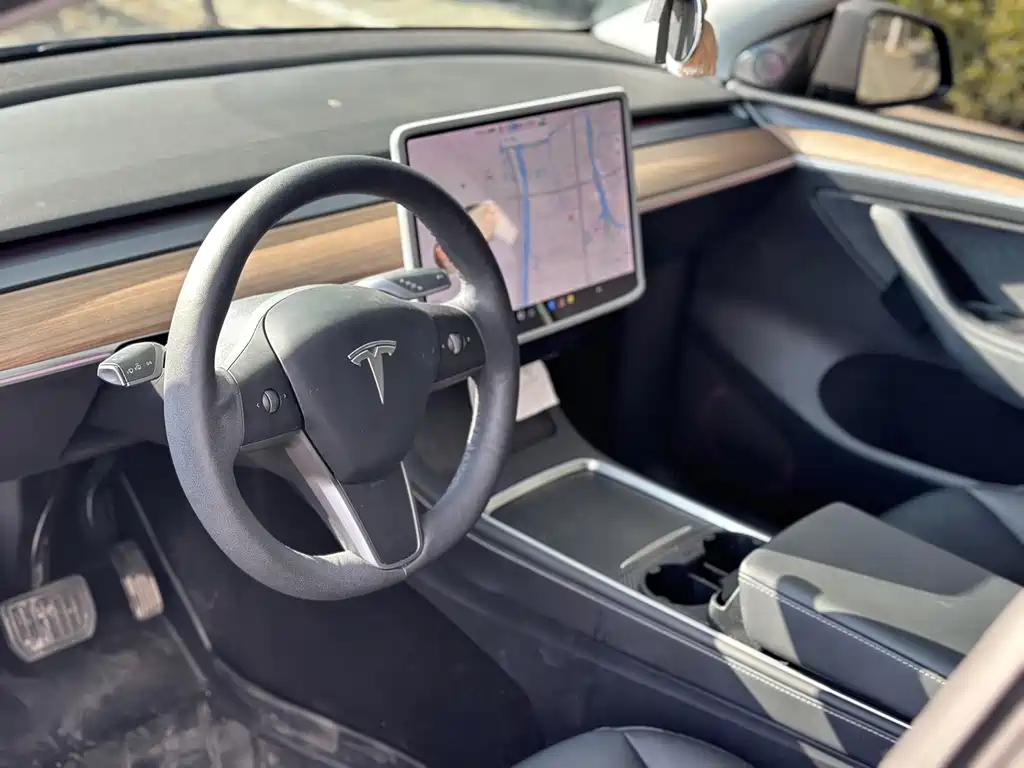 Tesla Model Y — миниатюра 14