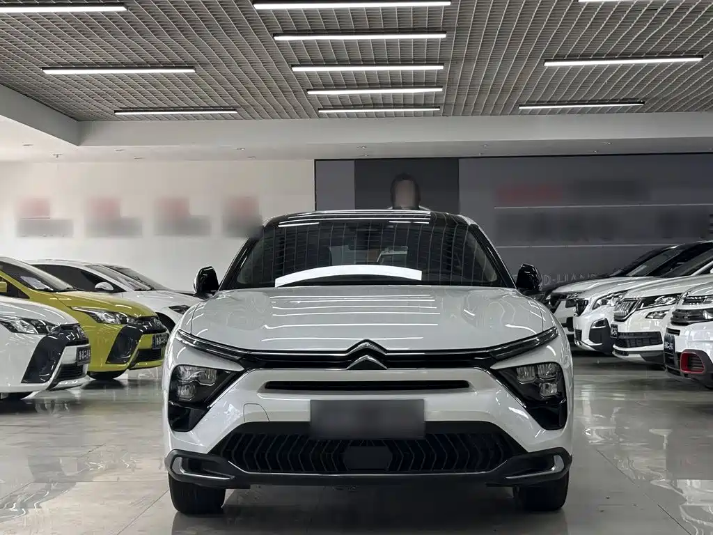 Citroen C5 X — миниатюра 23