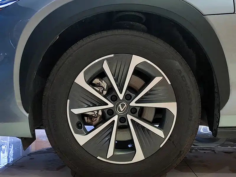 Lexus RZ — миниатюра 11