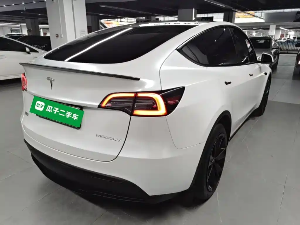 Tesla Model Y — миниатюра 7