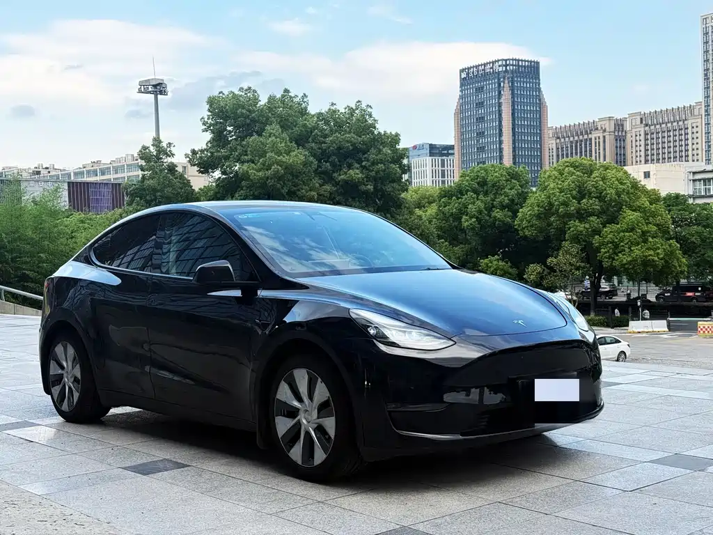 Tesla Model Y — миниатюра 3