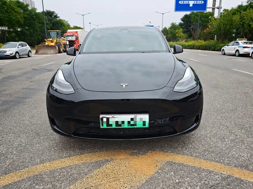 Tesla Model Y — миниатюра 2
