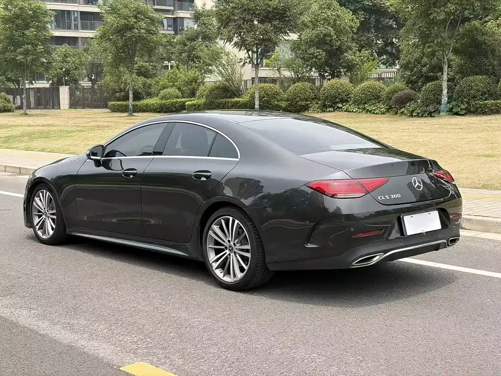 Mercedes-Benz CLS 2022 CLS 300 Luxury