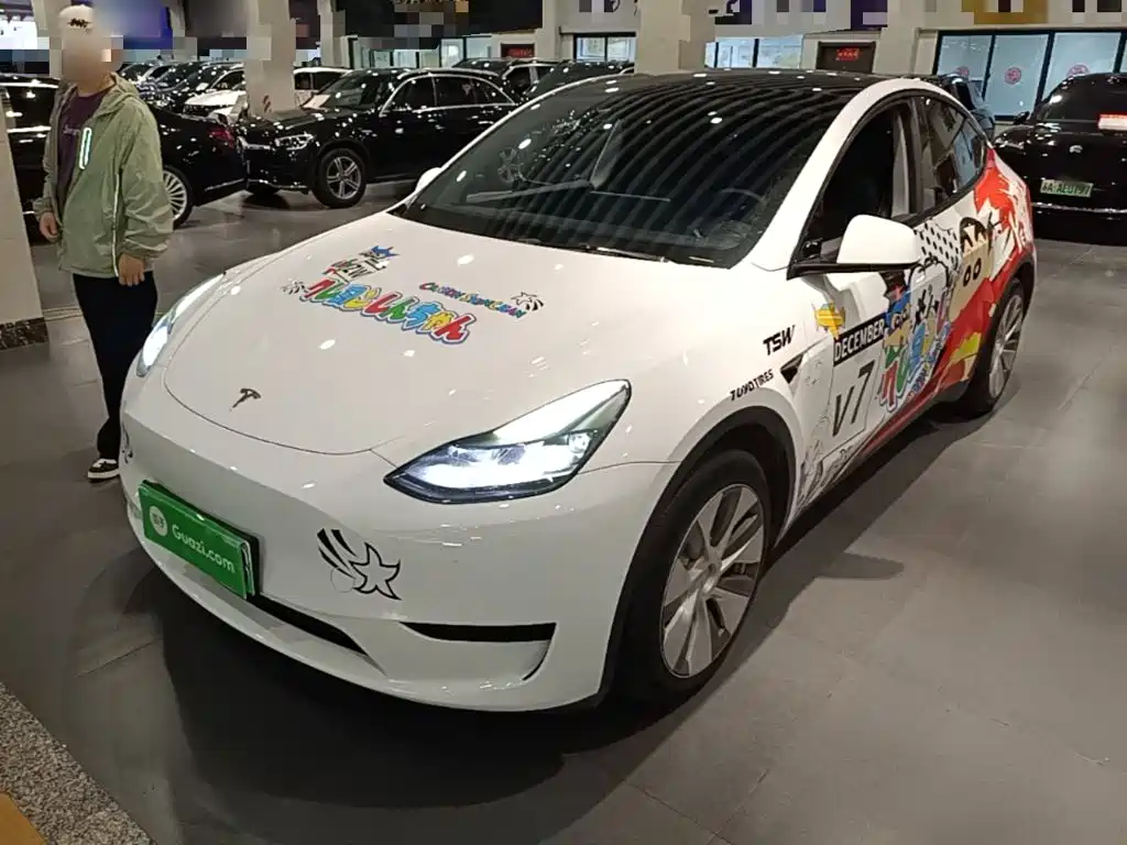 Tesla Model Y — миниатюра 2