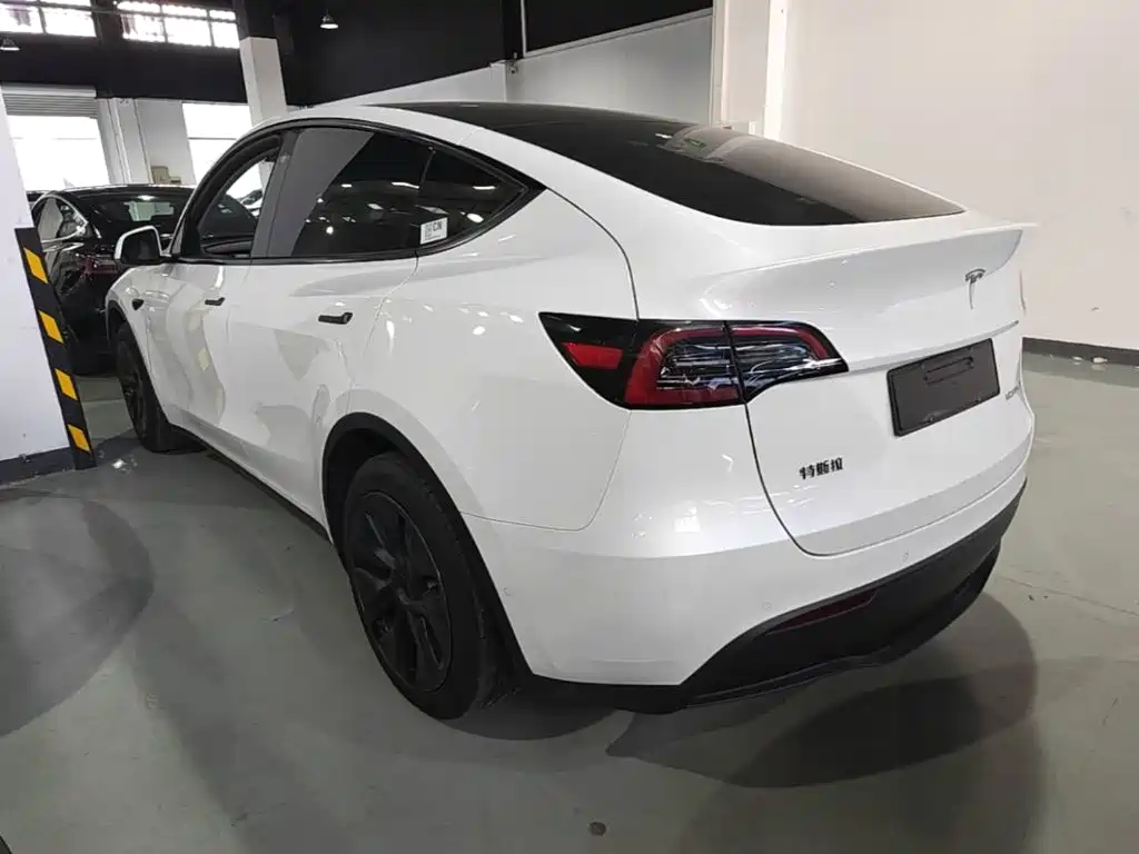 Tesla Model Y — миниатюра 5
