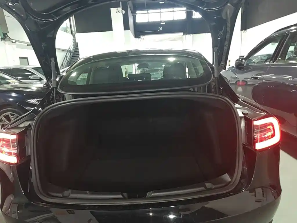 Tesla Model 3 — миниатюра 19