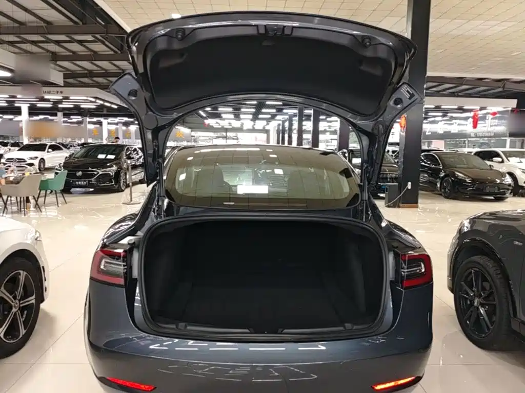 Tesla Model 3 — миниатюра 19