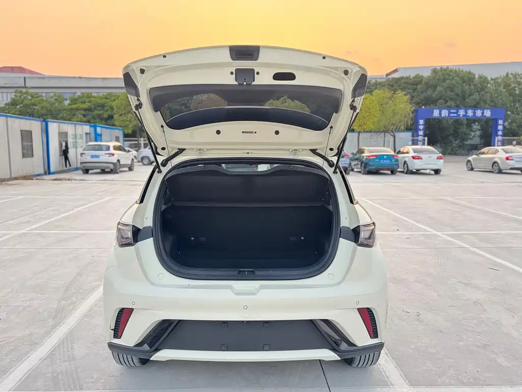 BYD Dolphin — миниатюра 8