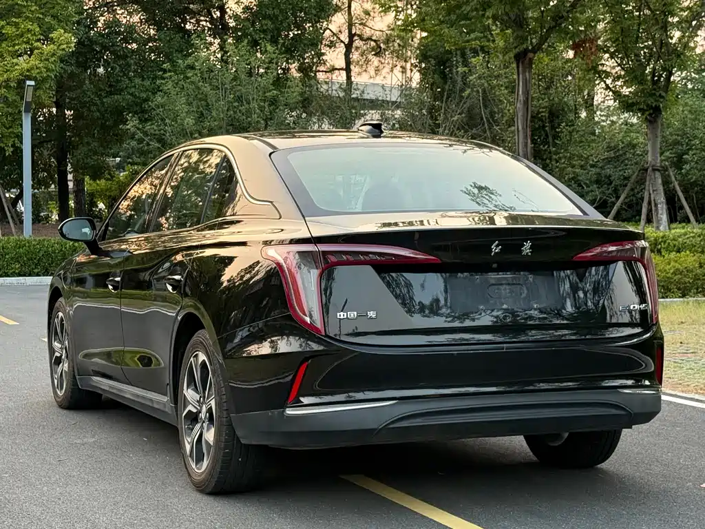 Hongqi Hongqi E-QM5 — миниатюра 6