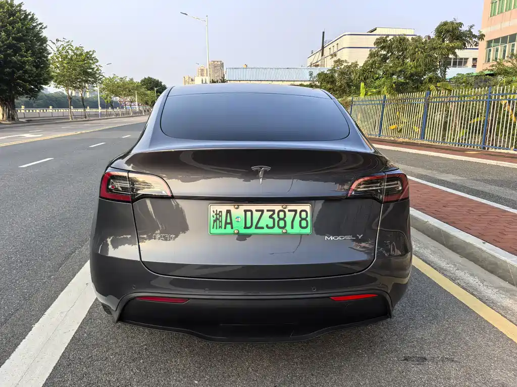 Tesla Model Y — миниатюра 6