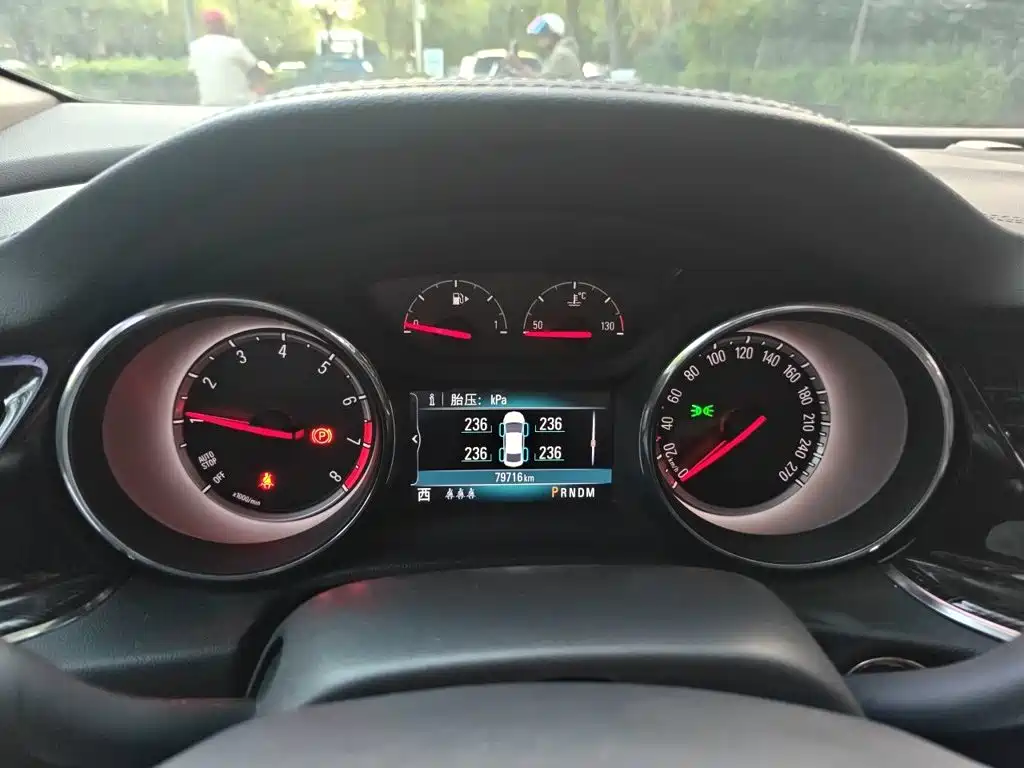 Buick Regal — миниатюра 7