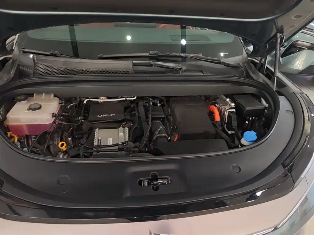 BYD Дон Л. — миниатюра 20