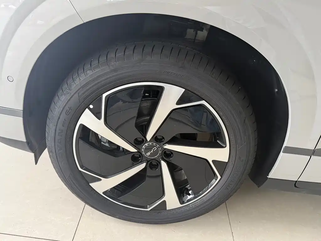 BYD Sealion 06 — миниатюра 20