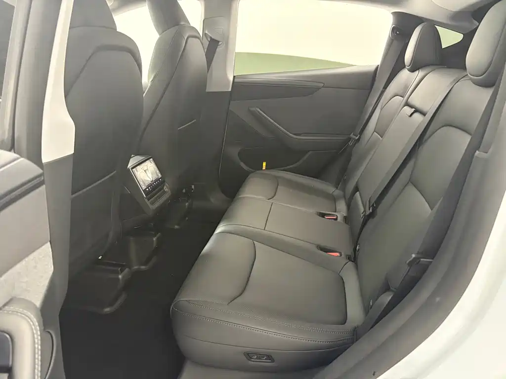 Tesla Model Y — миниатюра 8