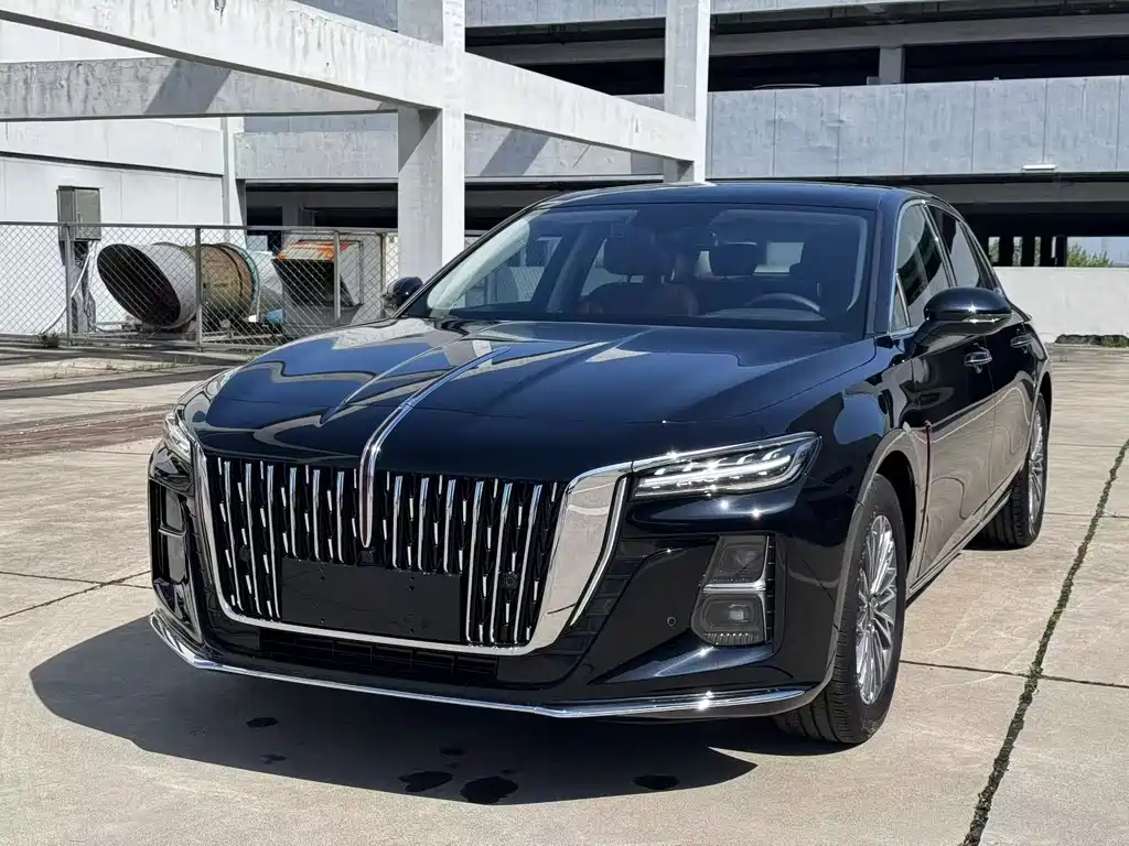 Hongqi Hongqi H5 2024