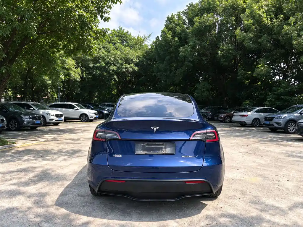 Tesla Model Y — миниатюра 2