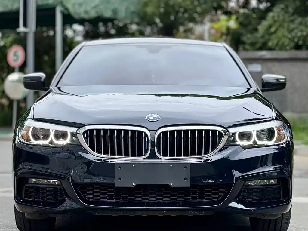 BMW 5 Series — миниатюра 2