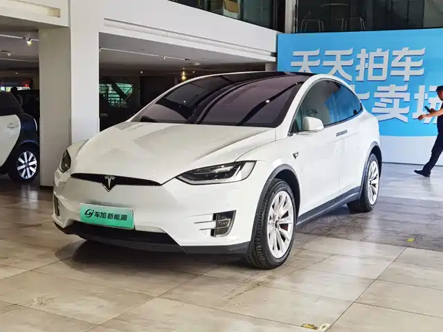 TESLA MODEL X 2019