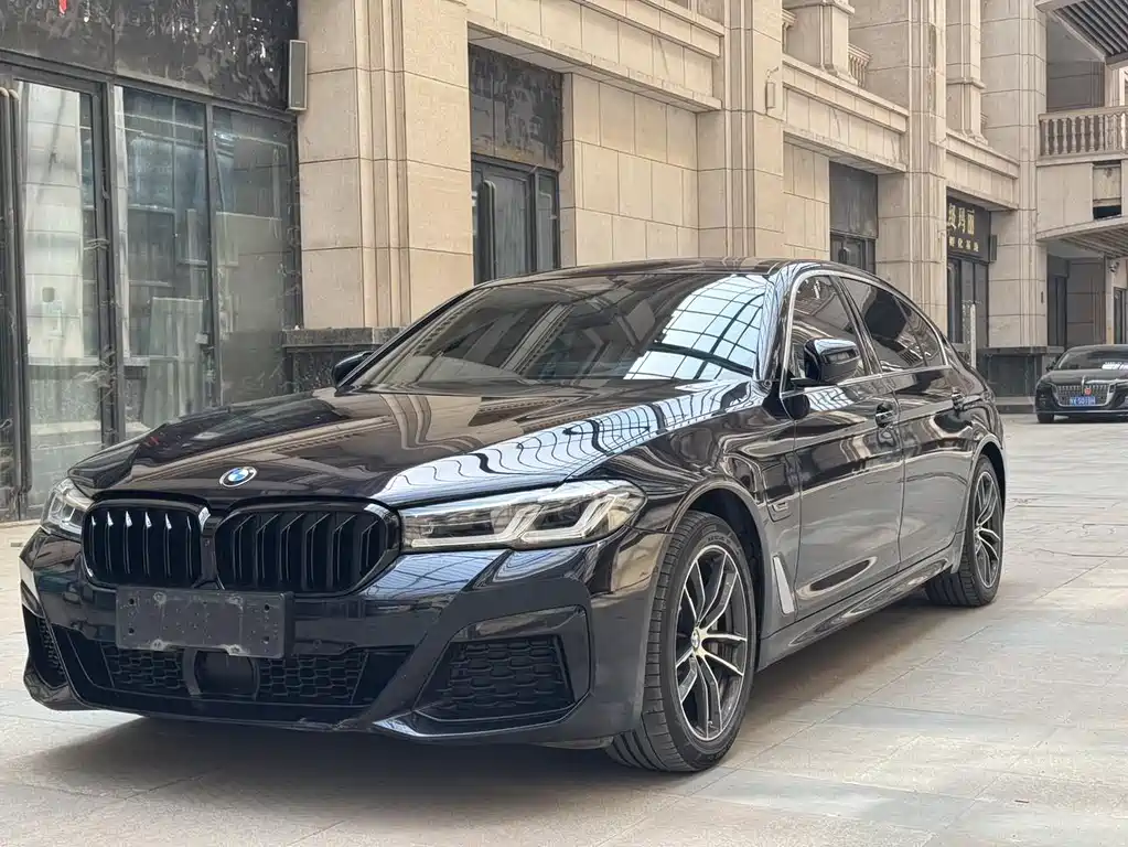 BMW 5 Series New Energy 2022