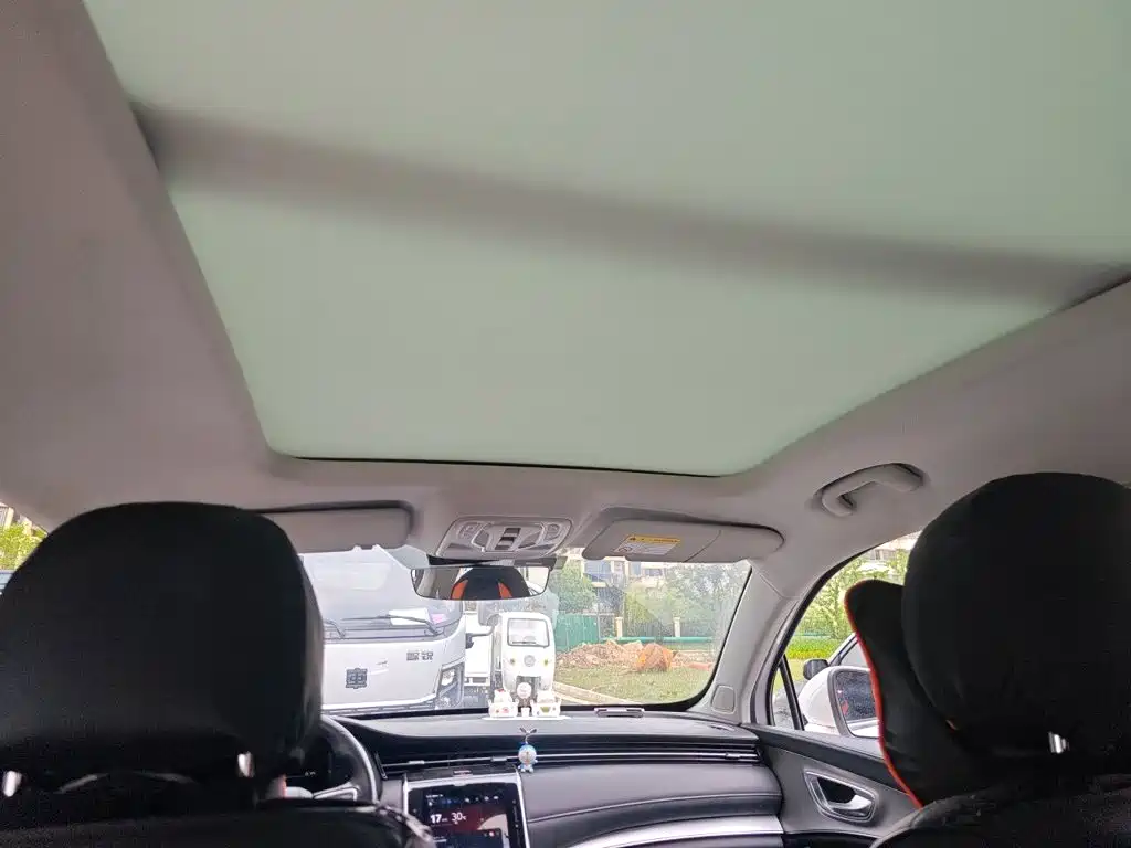 Roewe RX5 Max 2019 300TGI AT Luxury