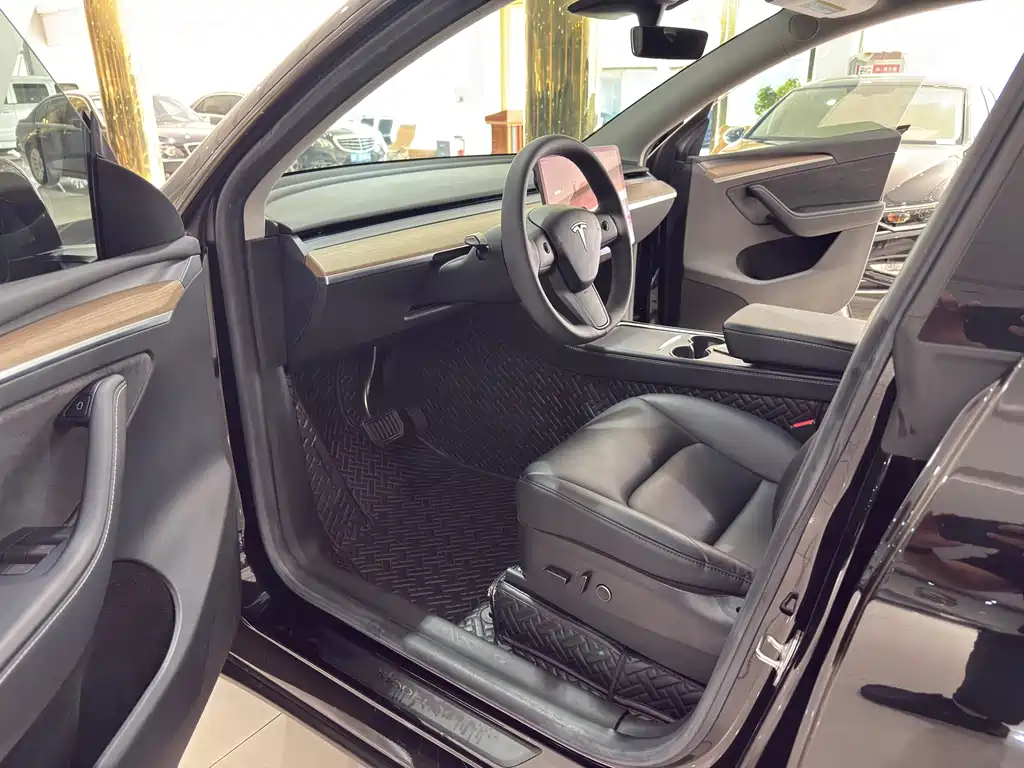 Tesla Model Y — миниатюра 7