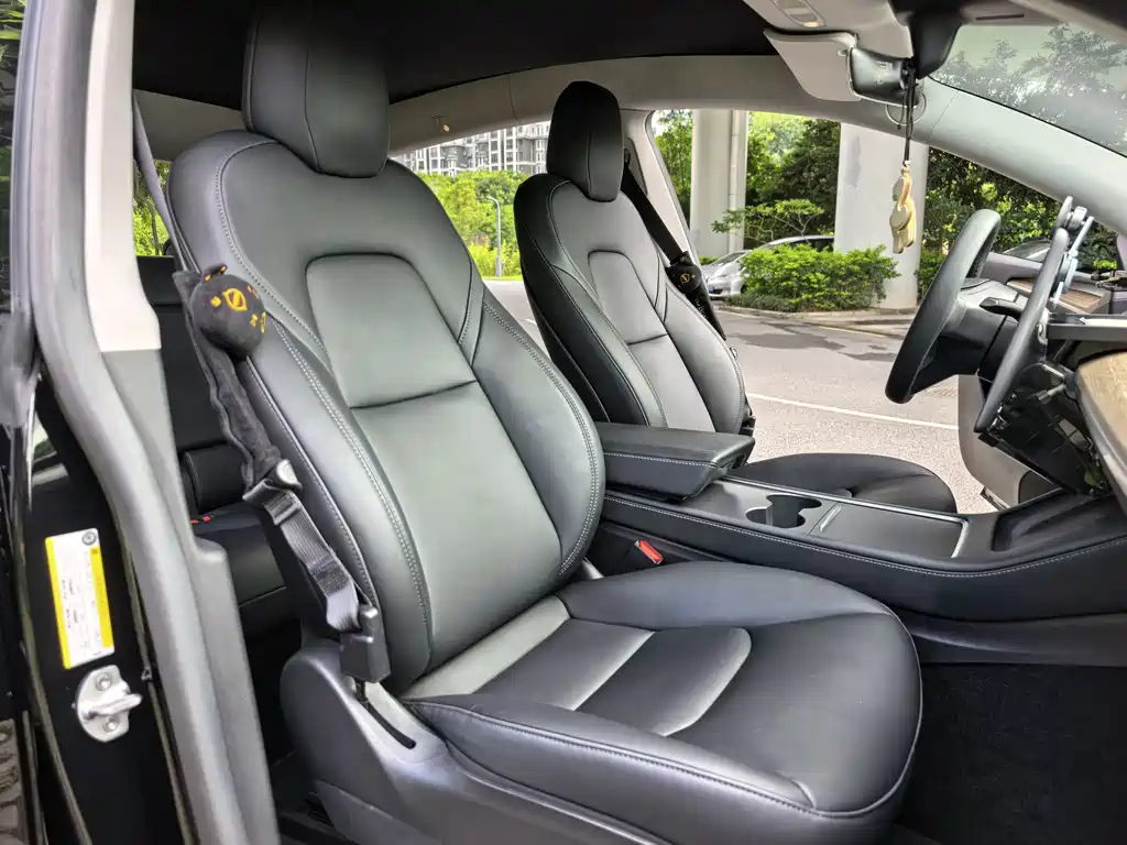 Tesla Model Y 2022 Performance