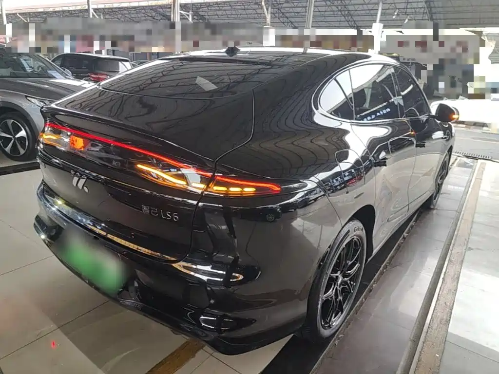 IM IM LS6 — миниатюра 7
