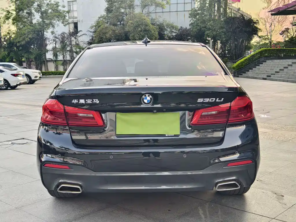 BMW 5 Series 5 2020 530Li Premium M Sport