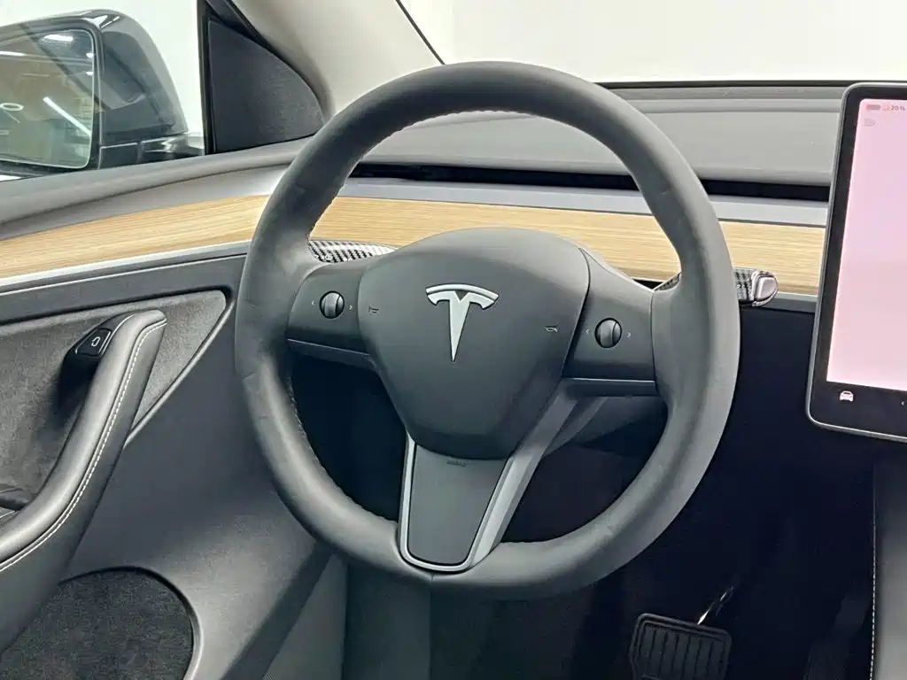 Tesla Model Y — миниатюра 21