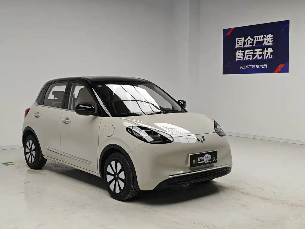 Wuling Binguo 2024 333km Enjoy