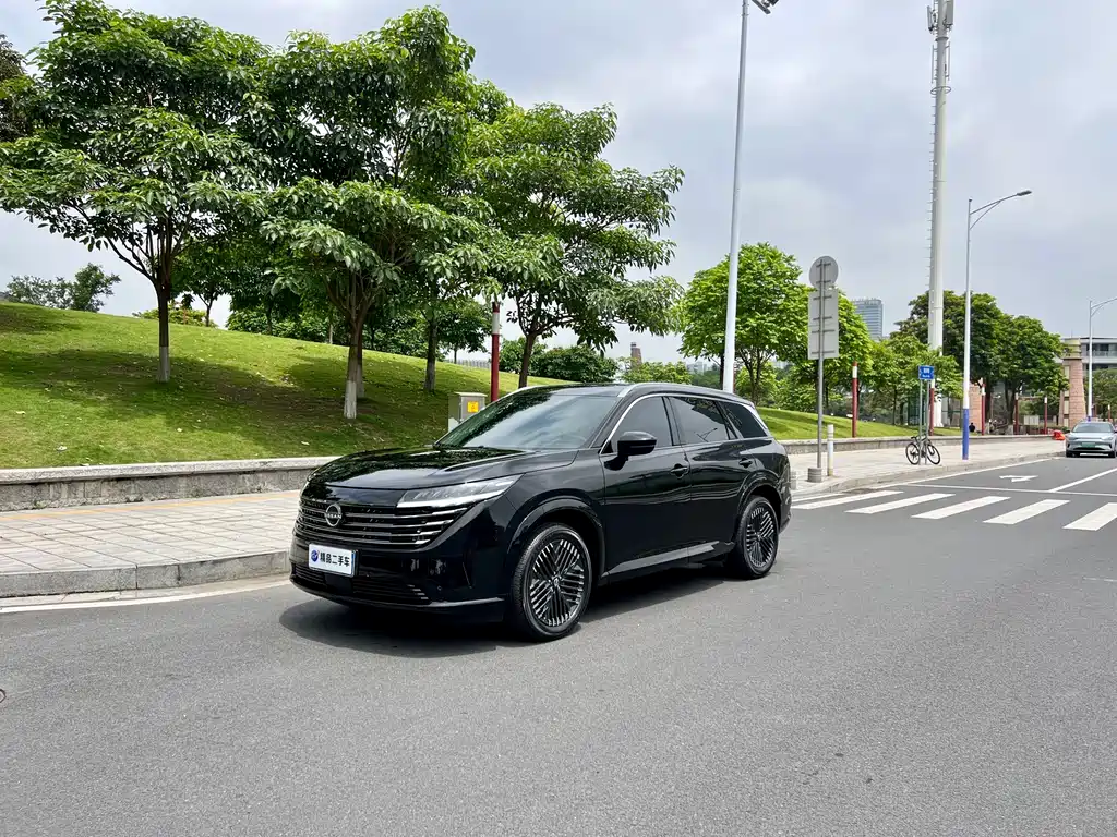 Купить Nissan Teramont