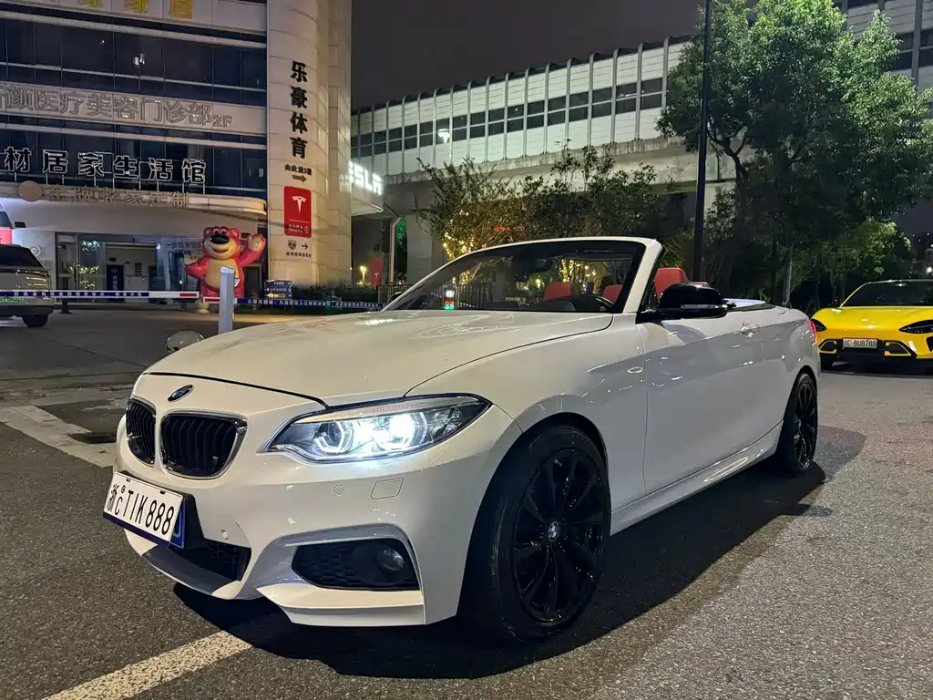BMW 2 Series (Import) — миниатюра 2