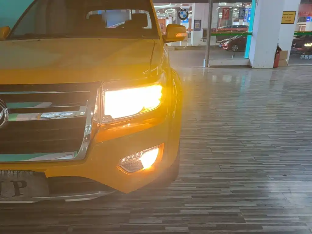 Dongfeng Rich — миниатюра 24