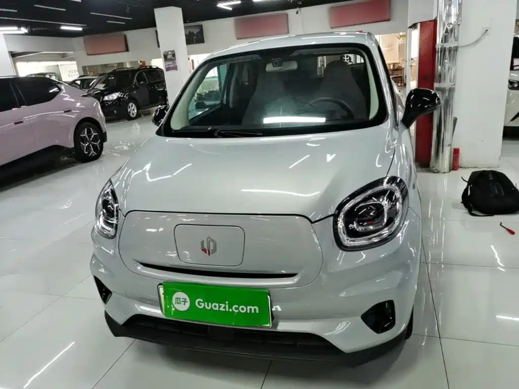 Leapmotor T03 2023 310
