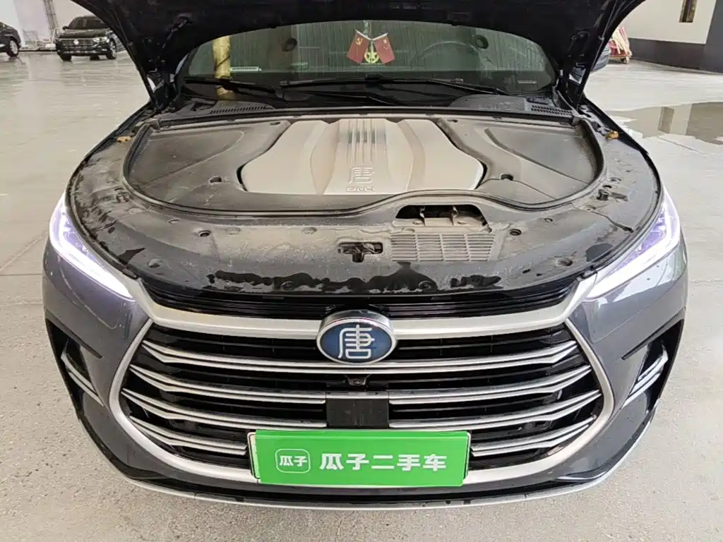 BYD Tang New Energy — миниатюра 20