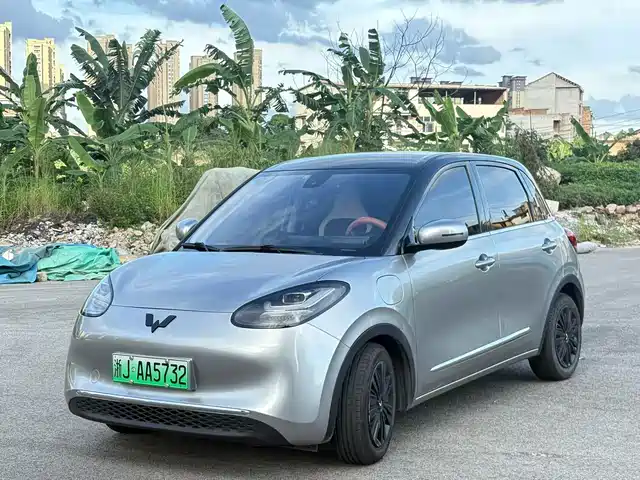 2023 Wuling Motors Binguo