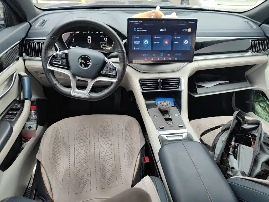 BYD PLUS New Energy — миниатюра 13