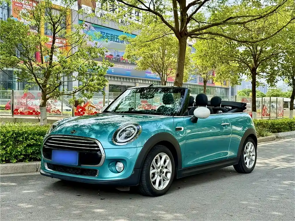 Mini Mini 2020
