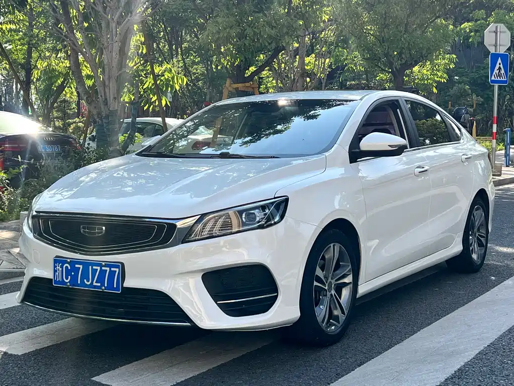 Geely Binrui 2019